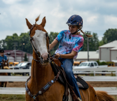 2022-6-26-Sunday-Horse-trial-692