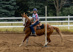 2022-6-26-Sunday-Horse-trial-694