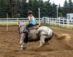 2022-6-26-Sunday-Horse-trial-707