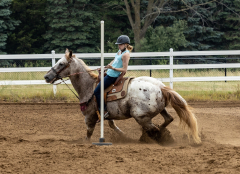 2022-6-26-Sunday-Horse-trial-708