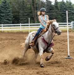 2022-6-26-Sunday-Horse-trial-712