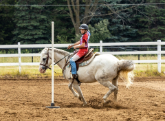 2022-6-26-Sunday-Horse-trial-715