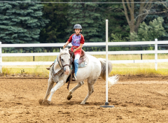 2022-6-26-Sunday-Horse-trial-716