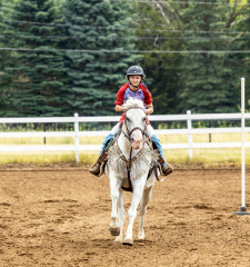 2022-6-26-Sunday-Horse-trial-724