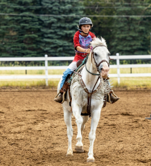 2022-6-26-Sunday-Horse-trial-725