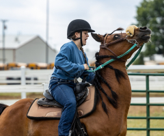 2022-6-26-Sunday-Horse-trial-728