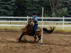 2022-6-26-Sunday-Horse-trial-731-2