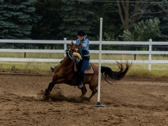 2022-6-26-Sunday-Horse-trial-731