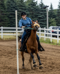 2022-6-26-Sunday-Horse-trial-733