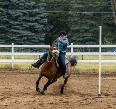 2022-6-26-Sunday-Horse-trial-737