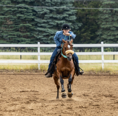 2022-6-26-Sunday-Horse-trial-738