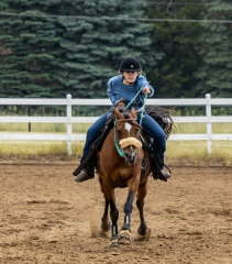 2022-6-26-Sunday-Horse-trial-739