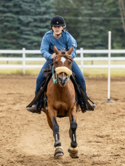 2022-6-26-Sunday-Horse-trial-741