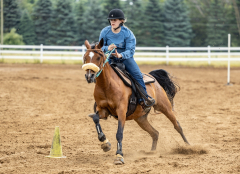 2022-6-26-Sunday-Horse-trial-742