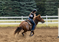 2022-6-26-Sunday-Horse-trial-743