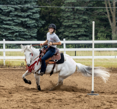 2022-6-26-Sunday-Horse-trial-751