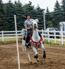 2022-6-26-Sunday-Horse-trial-753