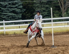 2022-6-26-Sunday-Horse-trial-756