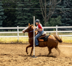 2022-6-26-Sunday-Horse-trial-761