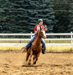 2022-6-26-Sunday-Horse-trial-762