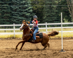 2022-6-26-Sunday-Horse-trial-766