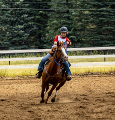 2022-6-26-Sunday-Horse-trial-767