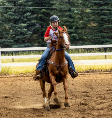 2022-6-26-Sunday-Horse-trial-768