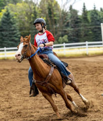 2022-6-26-Sunday-Horse-trial-771