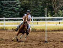 2022-6-26-Sunday-Horse-trial-774