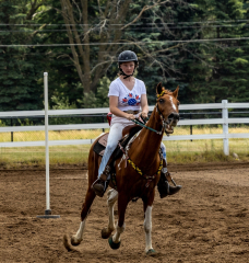 2022-6-26-Sunday-Horse-trial-775