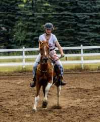 2022-6-26-Sunday-Horse-trial-779