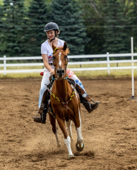 2022-6-26-Sunday-Horse-trial-781