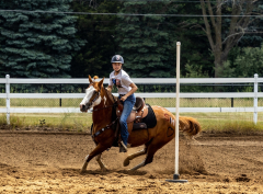 2022-6-26-Sunday-Horse-trial-783