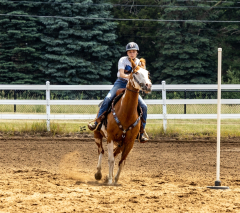 2022-6-26-Sunday-Horse-trial-784