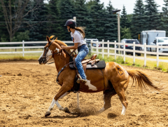 2022-6-26-Sunday-Horse-trial-786