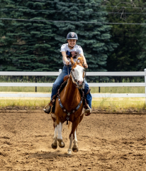 2022-6-26-Sunday-Horse-trial-791