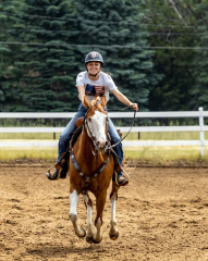 2022-6-26-Sunday-Horse-trial-792