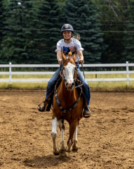 2022-6-26-Sunday-Horse-trial-793