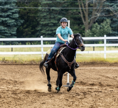 2022-6-26-Sunday-Horse-trial-797