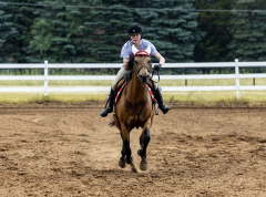 2022-6-26-Sunday-Horse-trial-813