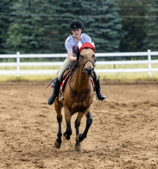 2022-6-26-Sunday-Horse-trial-814