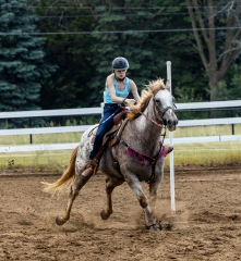 2022-6-26-Sunday-Horse-trial-825