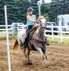 2022-6-26-Sunday-Horse-trial-826