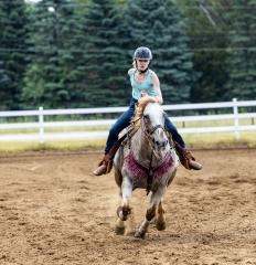 2022-6-26-Sunday-Horse-trial-832