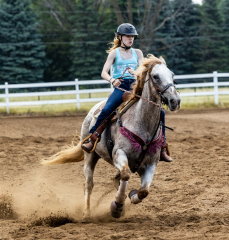 2022-6-26-Sunday-Horse-trial-833