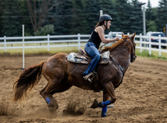 2022-6-26-Sunday-Horse-trial-838