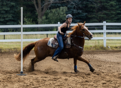 2022-6-26-Sunday-Horse-trial-840