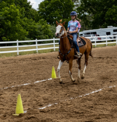 2022-6-26-Sunday-Horse-trial-847