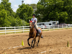 2022-6-26-Sunday-Horse-trial-856