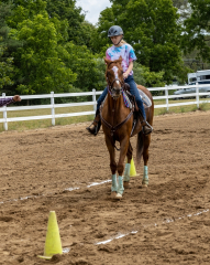 2022-6-26-Sunday-Horse-trial-864